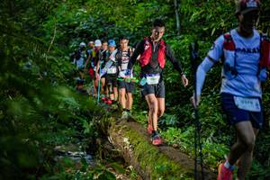 BIB: 954, 
                            <button type="button" onclick="openModal(18922900)" class="btn btn-primary btn-sm float-right btn-popup" data-toggle="modal" data-target=".modal-high-quality">
                        <i class="fas fa-shopping-cart"></i> Add to Cart
                    </button>
                                            <button type="button" onclick="isThisMe(18922900, true)" class="btn btn-success btn-sm float-right btn-popup btn-isme hidden" data-toggle="tooltip" data-placement="bottom" title="นี่คือรูปของคุณใช่ไหม คลิกที่นี่เพื่อเอาเข้าอัลบั้ม">
                        <i class="fas fa-plus"></i> Add to album
                    </button>
                    <button type="button" onclick="isThisMe(18922900, false)" class="btn btn-warning btn-sm float-right btn-popup btn-isnotme hidden">
                        <i class="fas fa-ban"></i> Remove from album
                    </button>